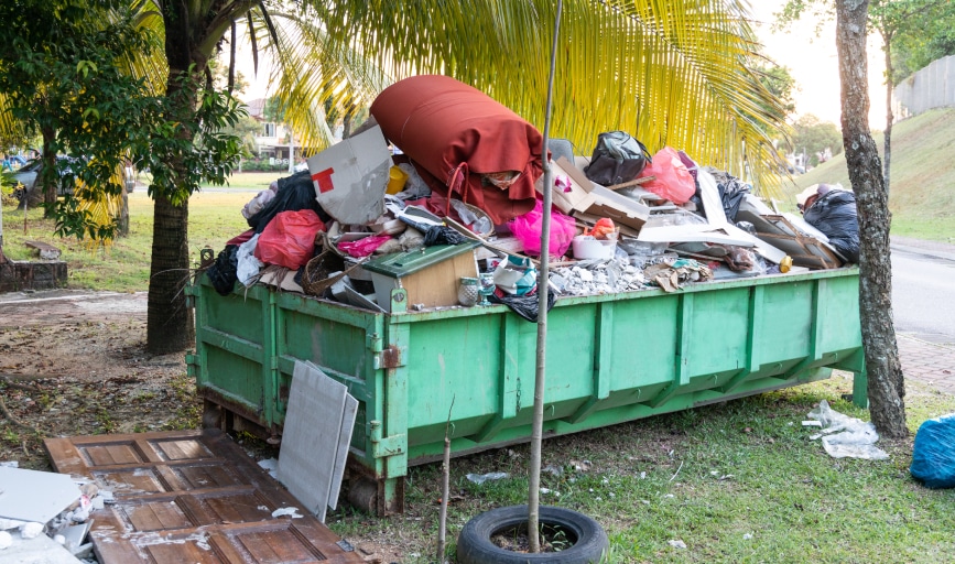 Yard Waste Removal